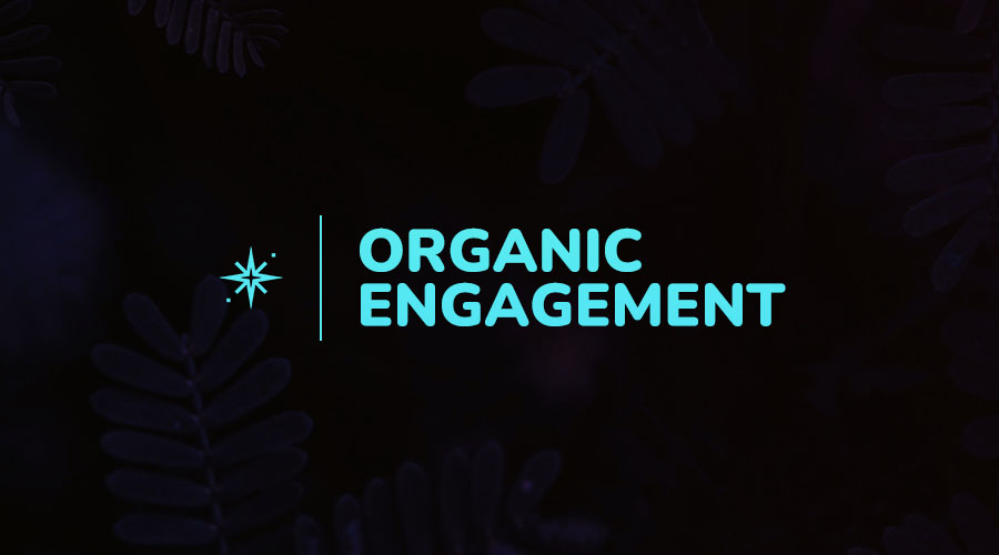 A Quick Guide to Creating Organic Engagement With Instagram Guides