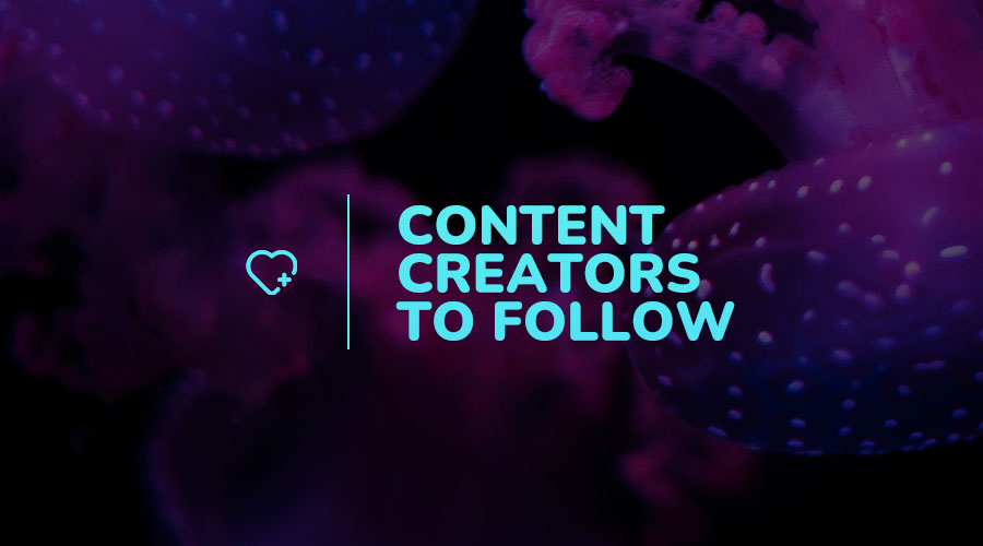 The Best Content Creators To Follow On Instagram