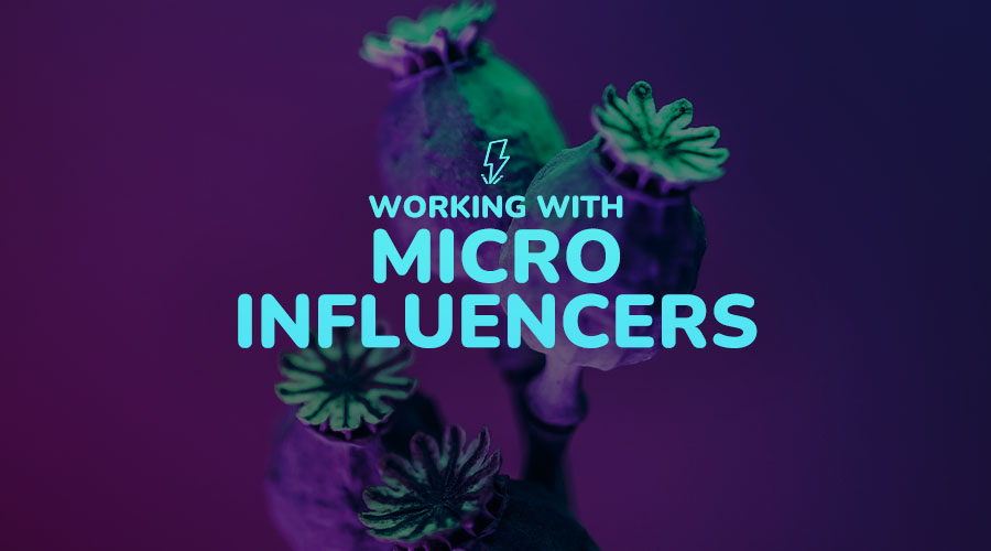 Benefits of Working With Instagram Micro-influencers