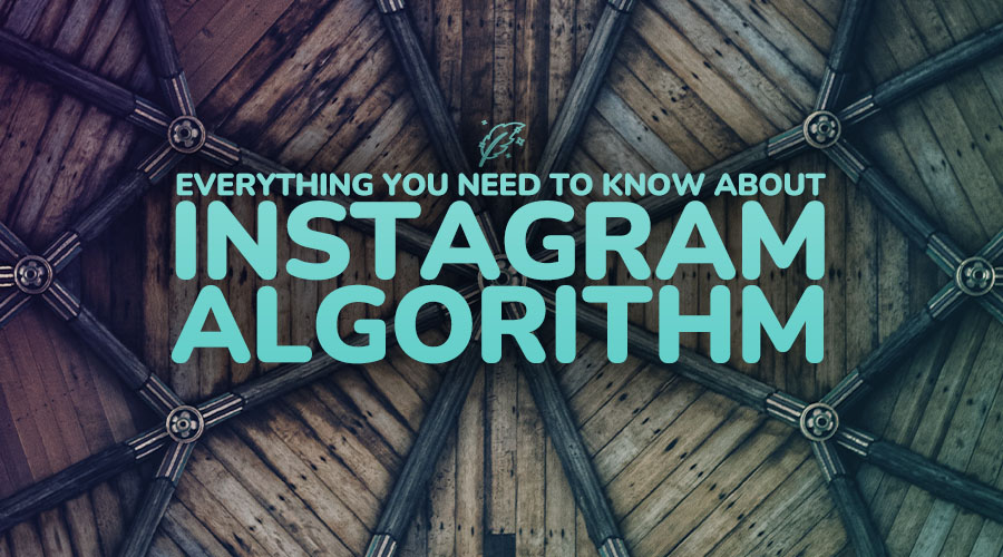 Everything You Need to Know About Instagram’s Algorithm