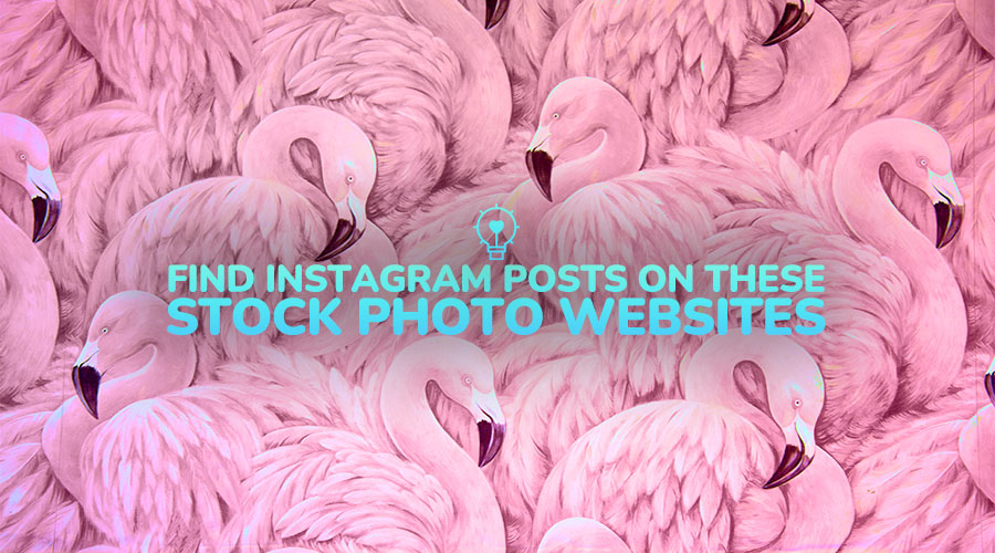 Find Instagram Posts on These Stock Photo Websites