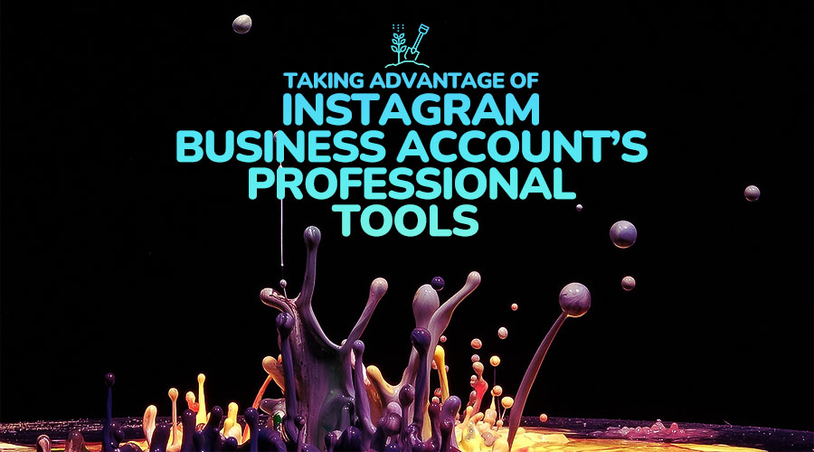 Taking Advantage of Instagram Business Account's Professional Tools