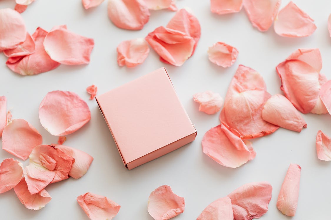 Present and petals of light pink rose