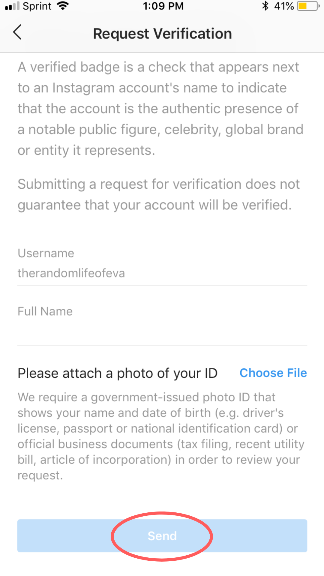 How to Get Verified on Instagram: 6 Steps to Get Your Blue Check