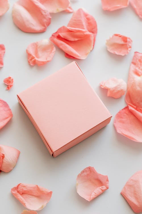 From above of beautiful pink rose petals scattered chaotically and gift placed on white background